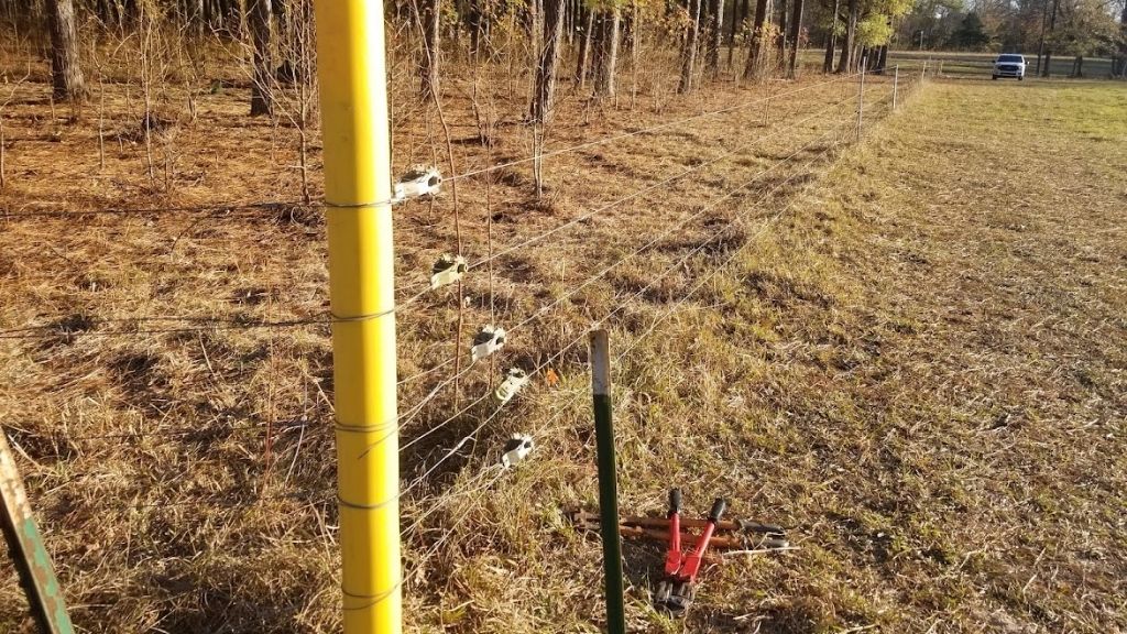 5 strands electric fence
